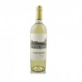 Chile Sauvignon Blanc