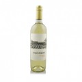 Chile Sauvignon Blanc 2021