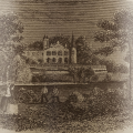 Chateau lafite Rothschild 2016